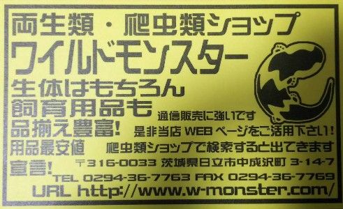 ãç¬è«é¡ã·ã§ããã¯ã¤ã«ãã¢ã³ã¹ã¿ã¼ãã®ç»åæ¤ç´¢çµæ