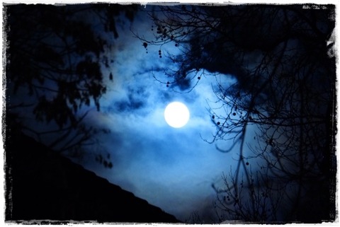 5d8fb880cce92f7f566352a591692e8a[1]-1