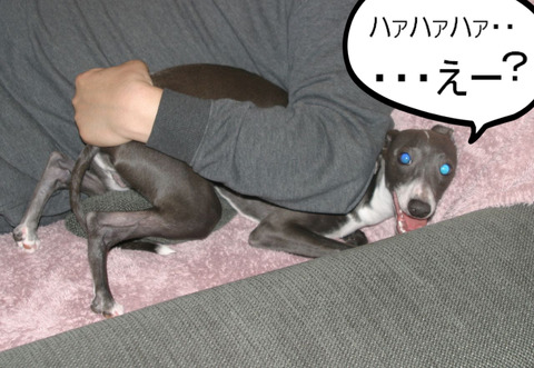 BlogPaint