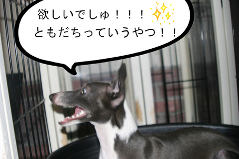 BlogPaint