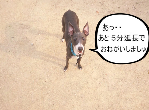 BlogPaint