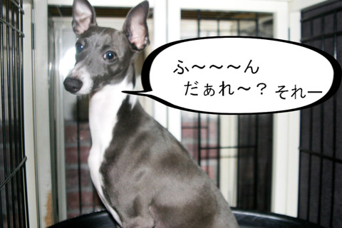 BlogPaint
