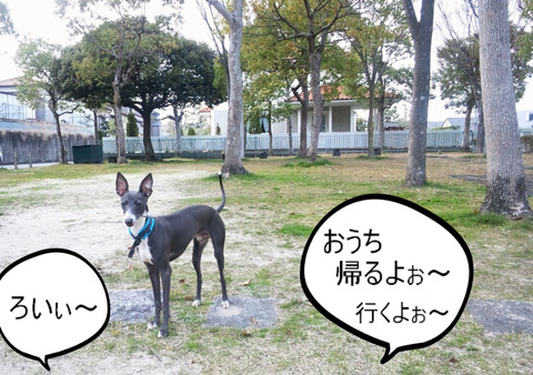 BlogPaint