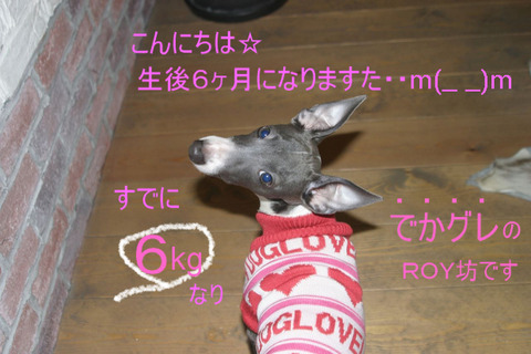 BlogPaint