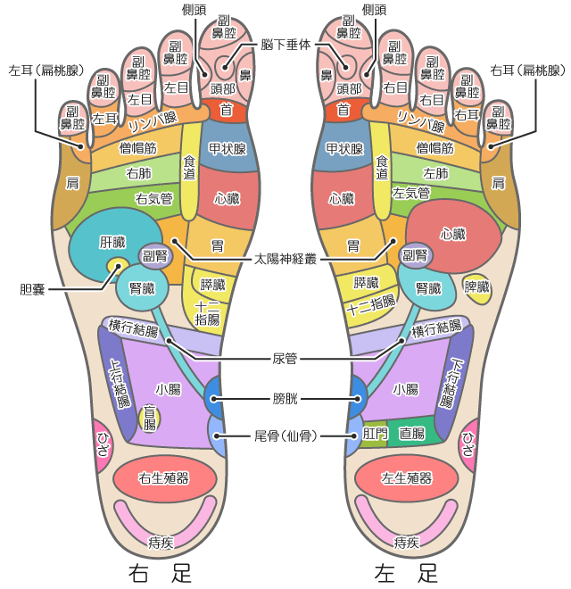 リフレクソロジー画像 無料 に対する画像結果