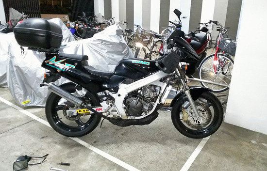 0330 ウルフフレーム (5)