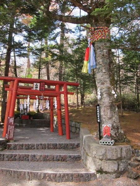 E98791E9818BE7A59EE7A4BEtop_e