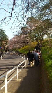 ズラズラと