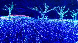 イリュミ１