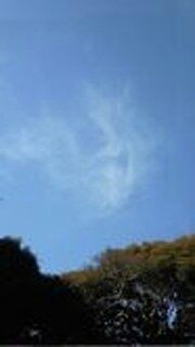 龍雲