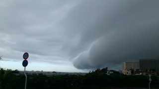 イルカ雲