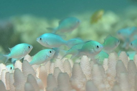 7322524-3x2-700x467