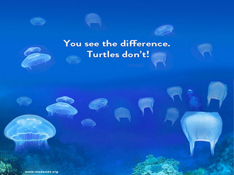 turtle-net-bag-1