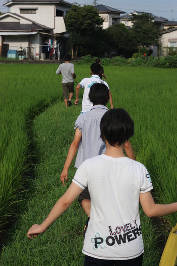 田んぼ道