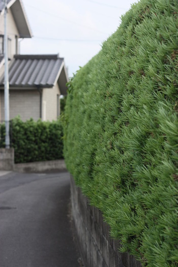 風景