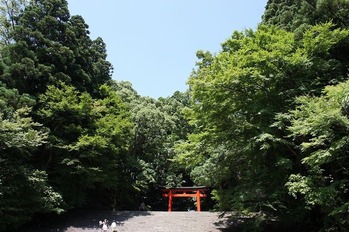 霧島神宮