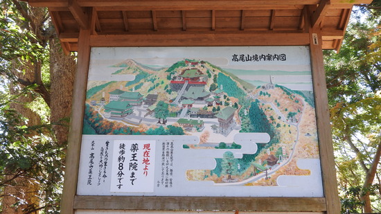 DSCN5013