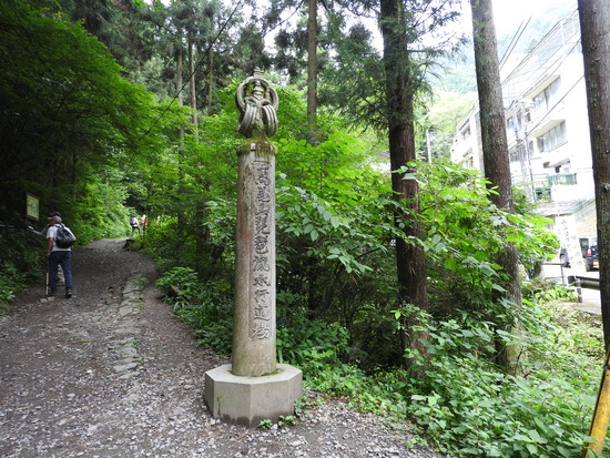 DSCN6287
