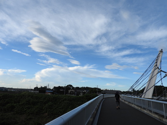 DSCN5159