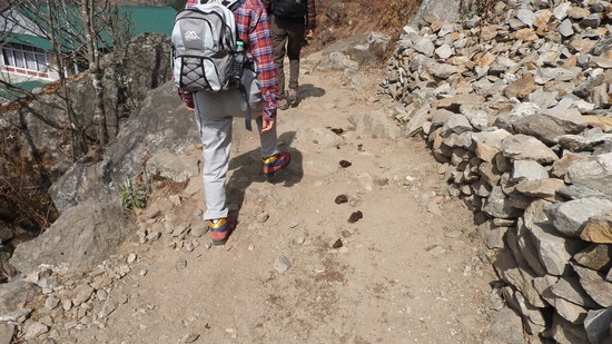 DSCN0920
