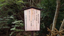 DSCF1552