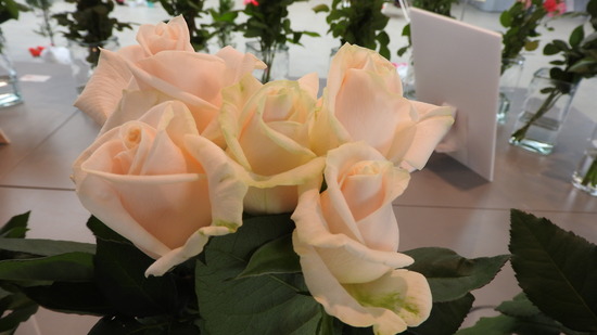 DSCN0332
