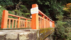 DSCF1673