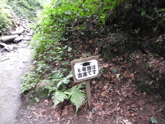 DSCN6412