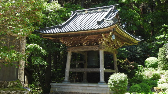 DSCN2787