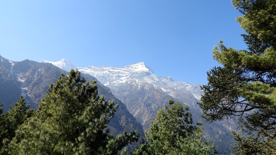 DSCN1765-1