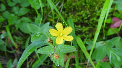 DSCN8098