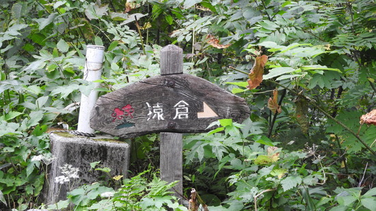 DSCN2624