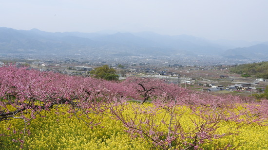 DSCN2734