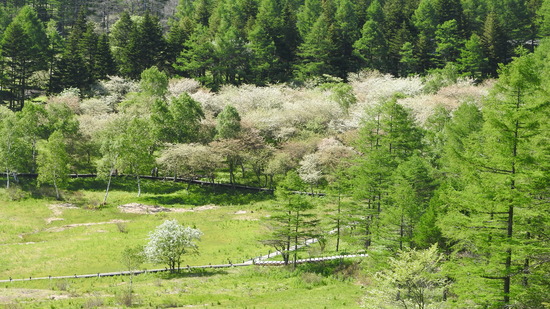 DSCN1188