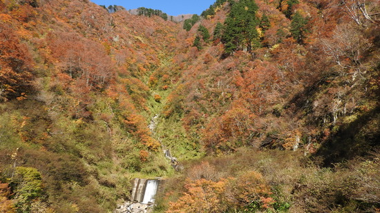 DSCN4113