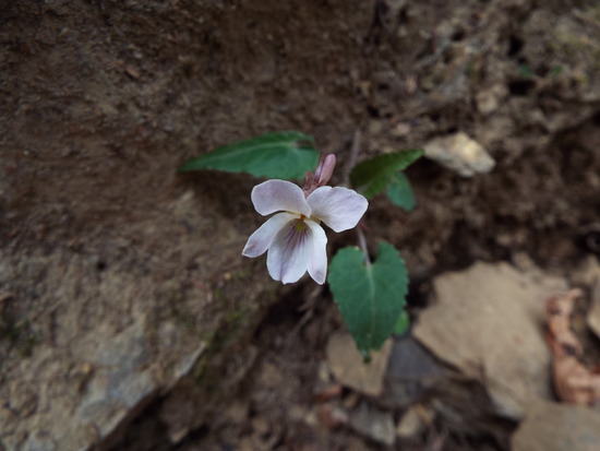 DSCF1379