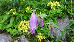 DSCN8095