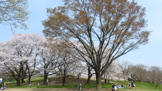 DSCN0300
