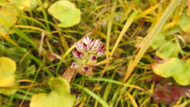 DSCN1398