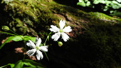 DSCN7758