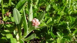 DSCN8996
