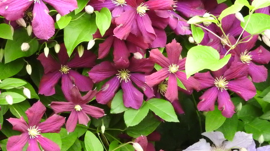 DSCN9785