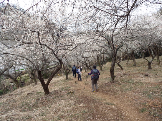 DSCF1648