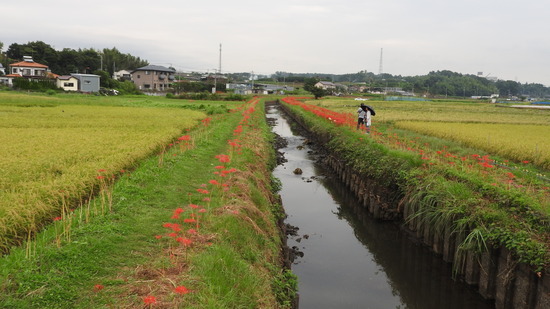 DSCN1057