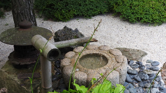 DSCN0458