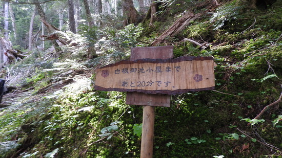 DSCN4713