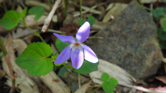 DSCN1541