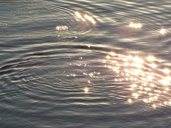 DSCF3987