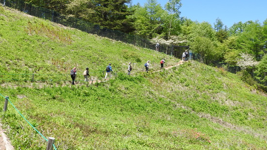 DSCN1502