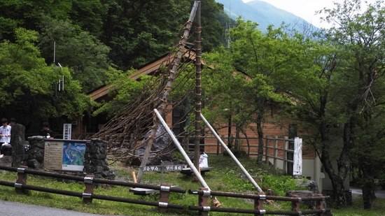 DSCN4629